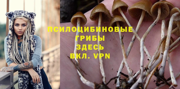 мескалин Баксан
