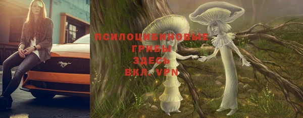 мескалин Баксан