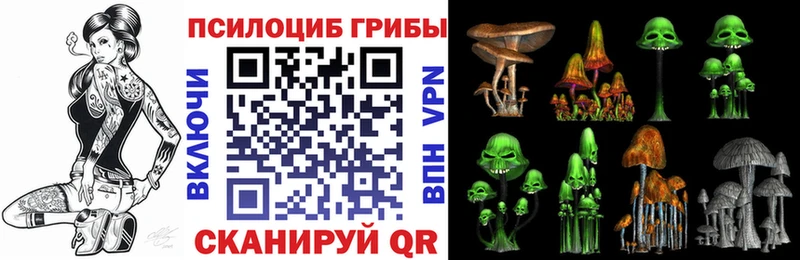 Псилоцибиновые грибы мицелий Калуга