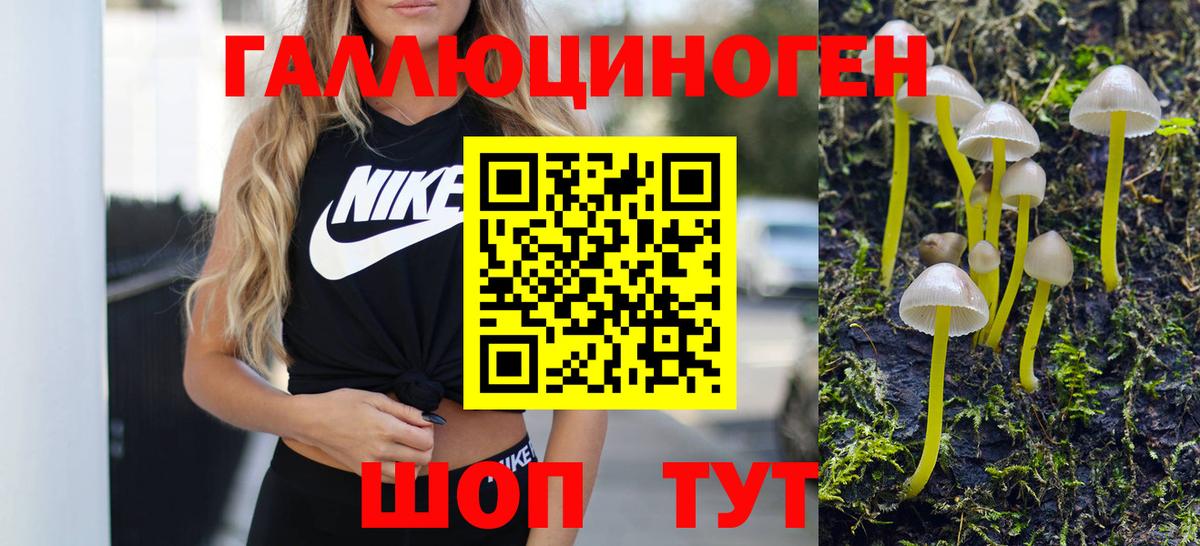 Псилоцибиновые грибы GOLDEN TEACHER  Вход с VPN  Галлюциногенные грибы GOLDEN TEACHER  Калуга 