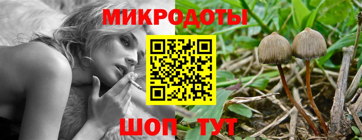 Псилоцибиновые грибы прущие грибы Калуга
